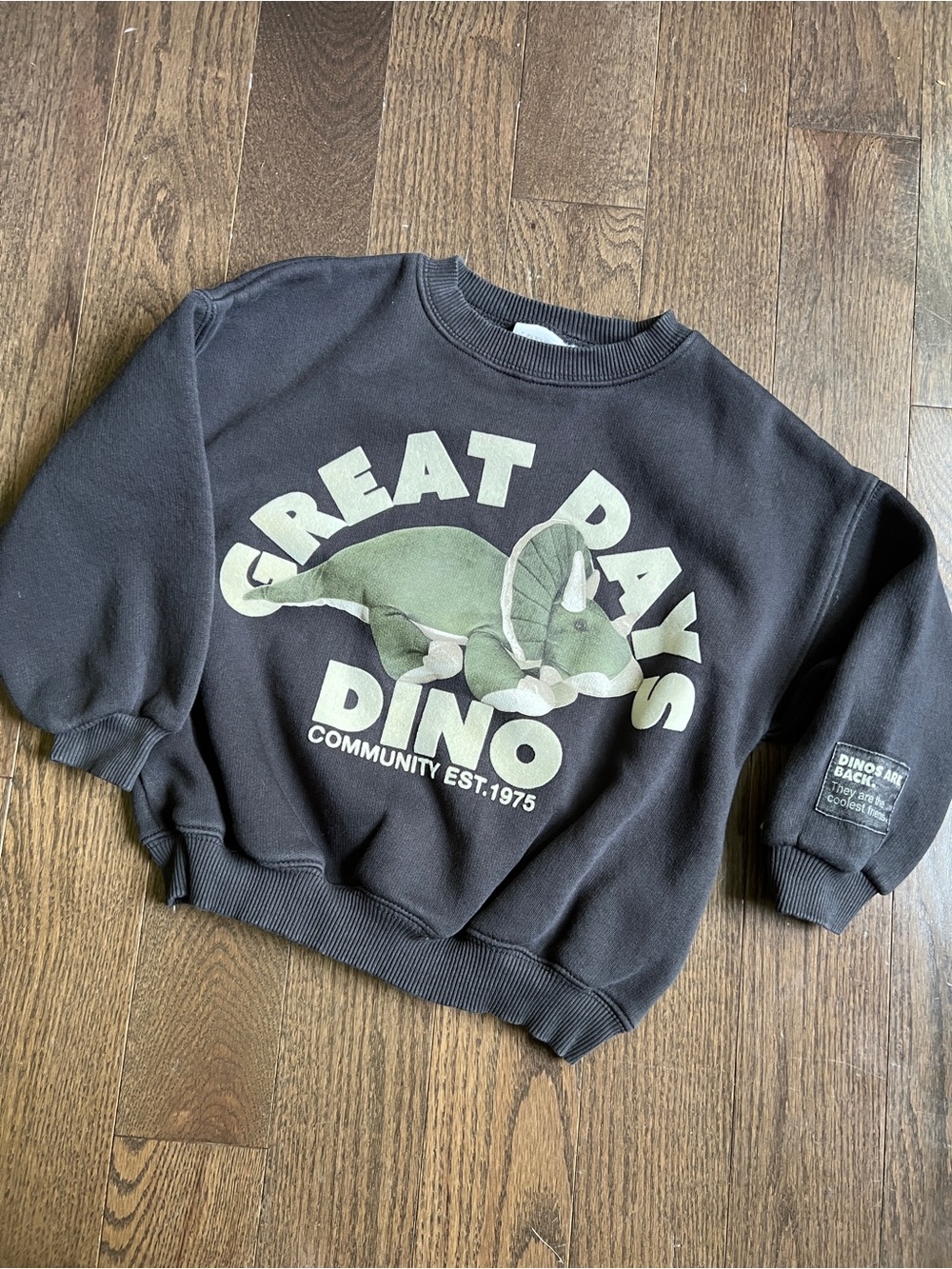 Zara great days Dino plush letters crewneck sweatshirt kids size 5